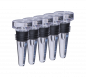 Flaschenstopfen Acryl 5er Pack