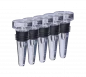 Flaschenstopfen Acryl 5er Pack
