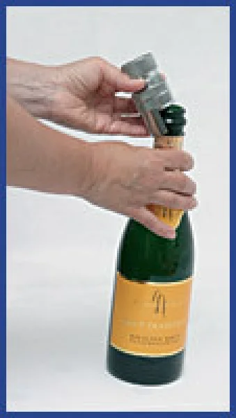 Funktion, Schaumwein konservieren